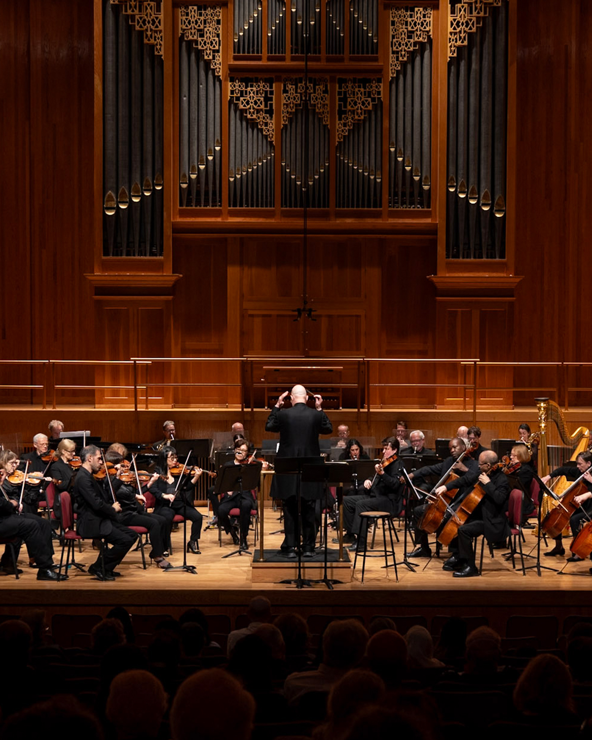 American Symphony Orchestra: New York Profiles - Kupferberg Center